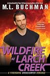 Wildfire at Larch Creek