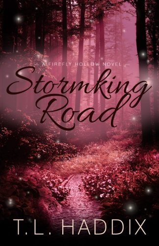 Stormking Road book cover
