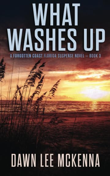 What Washes Up book cover
