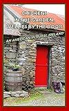 Chickens In The Garden Wellies By The Door An American In Rural Ireland