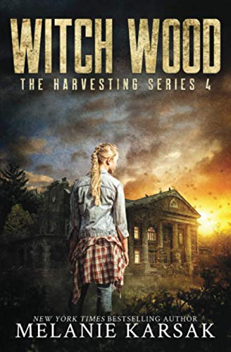 Witch Wood book cover
