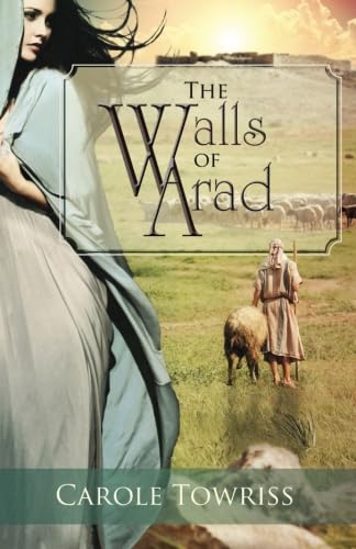 The Walls of Arad book cover