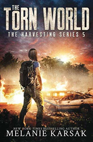 The Torn World book cover