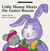 Little Mouse Meets the Easter Bunny
