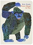 From Head To Toe Board Book