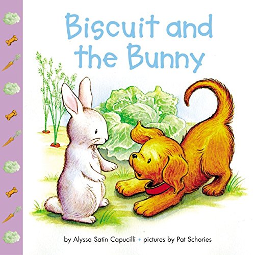 Biscuit and the Bunny book cover