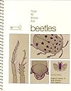 How to Know the Beetles
