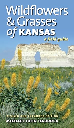 Wildflowers and Grasses of Kansas : by Haddock, Michael John