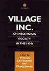 Village Inc. (Chinese Worlds (Routledge))