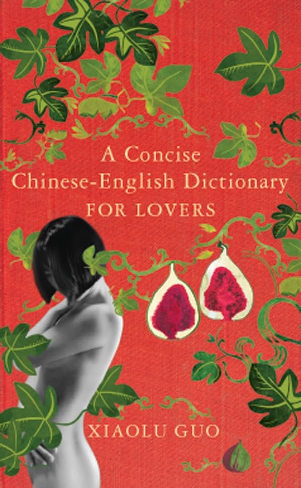 A Concise Chinese-English Dictionary for Lovers book cover