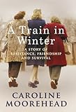 A Train in Winter