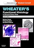 Wheaters Functional Histology A Text And Colour Atlas 6e