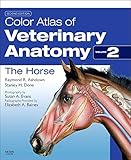 Color Atlas Of Veterinary Anatomy Volume 2 The Horse
