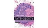 Wheaters Pathology A Text Atlas And Review Of Histopathology