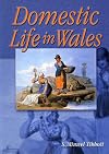Domestic Life in Wales