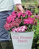 Cut Flower Patch Grow Your Own Cut Flowers All Year Round