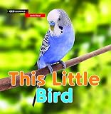 Amazon cover image