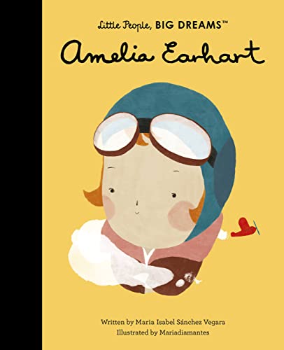 Amelia Earhart book cover