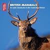 British Mammals: An Audio Introduction to the Mammals of Britain (British Library)