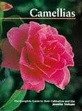 Camellias