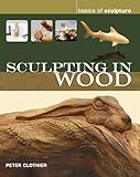 Sculpting In Wood The Basics Of Sculpture