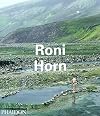 Roni Horn