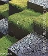 The Contemporary Garden