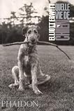 Quelle Vie De Chien Ancien Prix Diteur 1295 Euros
