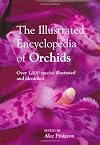 The Illustrated Encyclopedia of Orchids: Over 1100 Species Illustrated and Identified