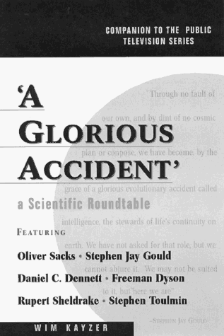 A Glorious Accident book cover