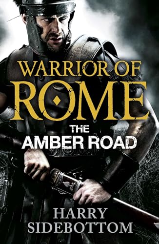 The Amber Road book cover