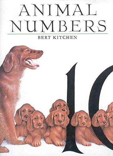Cover of Animal numbers