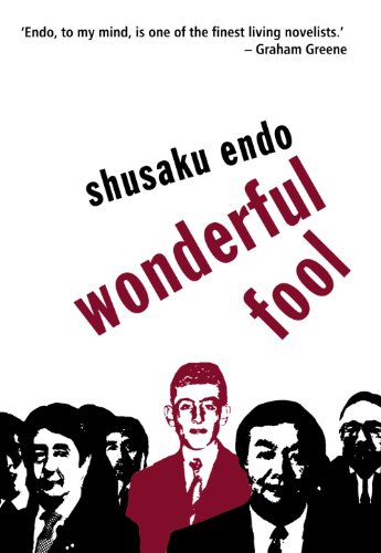 Wonderful Fool cover