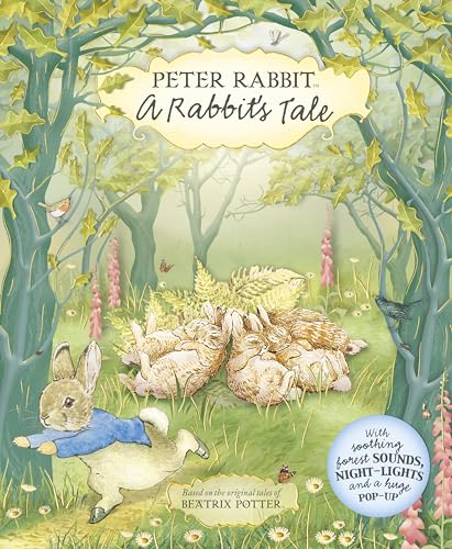 Cover of Rabbit's Tale