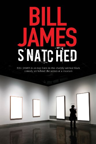Snatched book cover