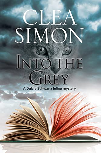 Into the Grey book cover