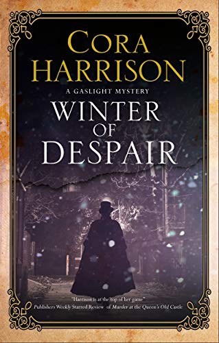 Winter of Despair book cover