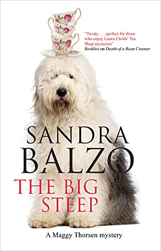 The Big Steep book cover