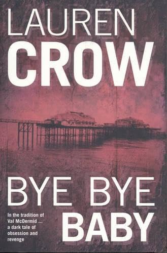 Bye Bye Baby book cover