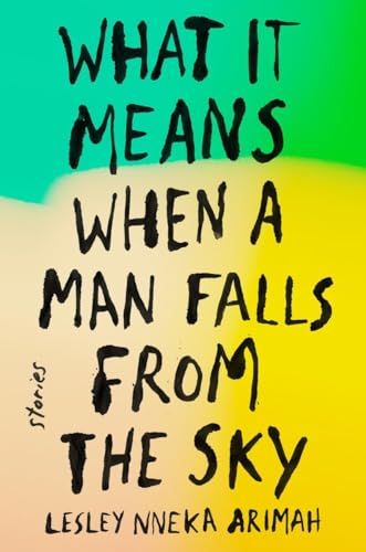 What It Means When a Man Falls from the Sky book cover