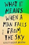 What It Means When a Man Falls from the Sky