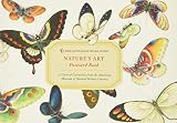 Amnh Natures Art Postcard Book