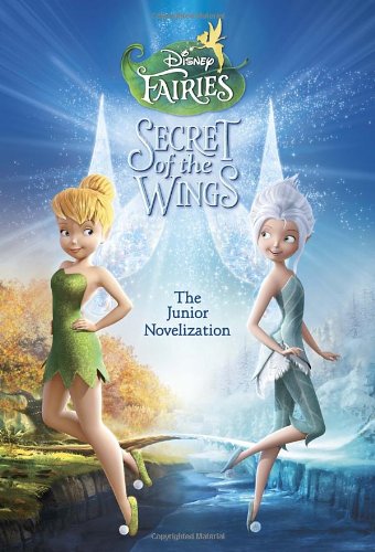 Secret of the Wings book cover