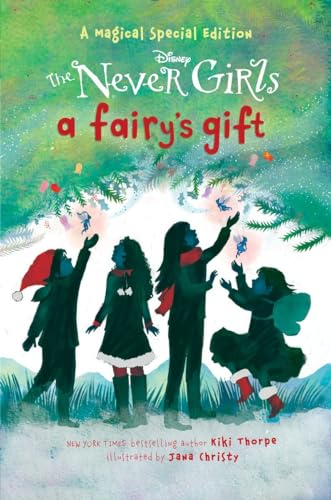 A Fairy's Gift book cover