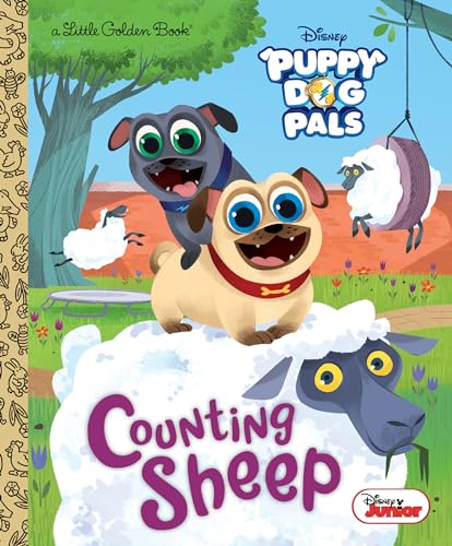 Counting Sheep book cover
