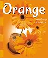 Orange: Seeing Orange All Around Us (A+ Books: Colors)
