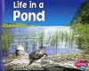 Life in a Pond (Pebble Plus: Living in a Biome)