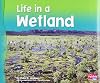 Life in a Wetland (Pebble Plus: Living in a Biome)