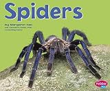 Amazon cover image