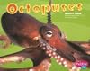 Octopuses (Pebble Plus: Under the Sea)